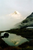 005-Reflexe
